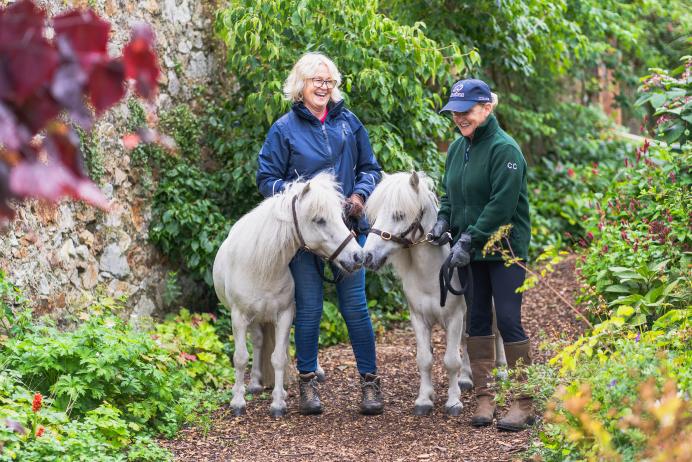 Positive Strides at the RDS Dublin Horse Show