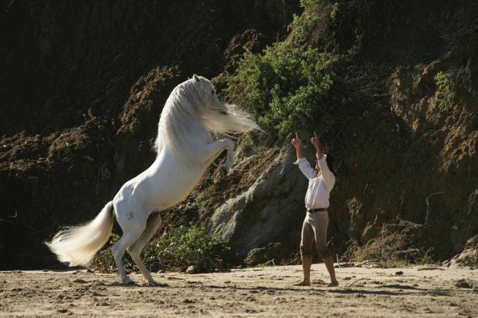Frédéric Pignon and his Dancing Horses