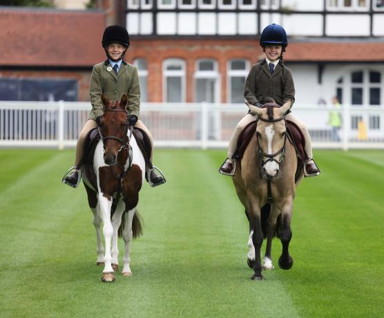 2024 RDS Dublin Horse Show Launch 