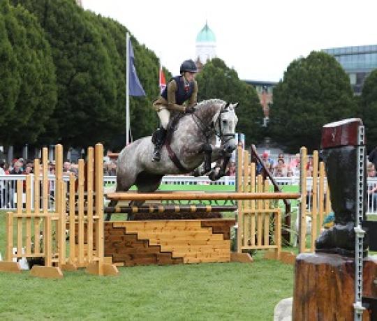 Dublin Horse Show 2022 - Further Development to Showing Classes and Competitions