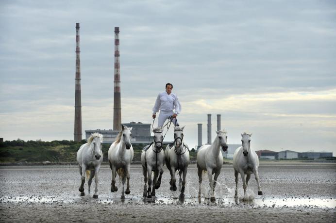 Irish Premier of Lorenzo, The Flying Frenchman at the Dublin Horse Show