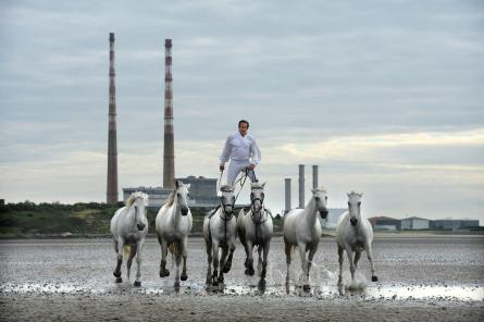 Irish Premier of Lorenzo, The Flying Frenchman at the Dublin Horse Show