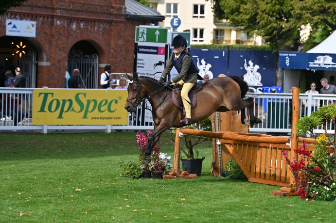 RDS INTRODUCES QUALIFIERS FOR ITS WORKING HUNTER PONY CLASSES