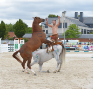 Exceptional equestrian artist Santí Serra at the Dublin Horse Show
