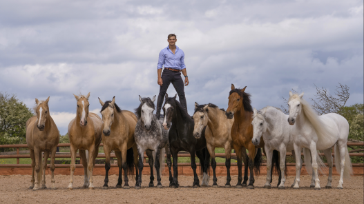 BEN ATKINSON & HIS AMAZING ACTION HORSES TO PERFORM AT THE 2024 RDS DUBLIN HORSE SHOW