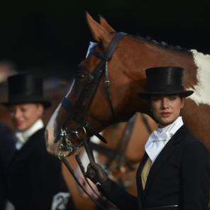 The RDS Dublin Horse Show Celebrates 150 Years of Equine Excellence
