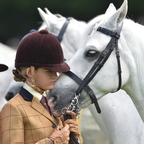  Canadian legend, Ian Millar to give Master Classes  at the RDS Dublin Horse Show