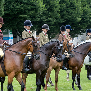 Spanish Horseman Supremo, Santi Serra returns to the RDS Dublin Horse Show